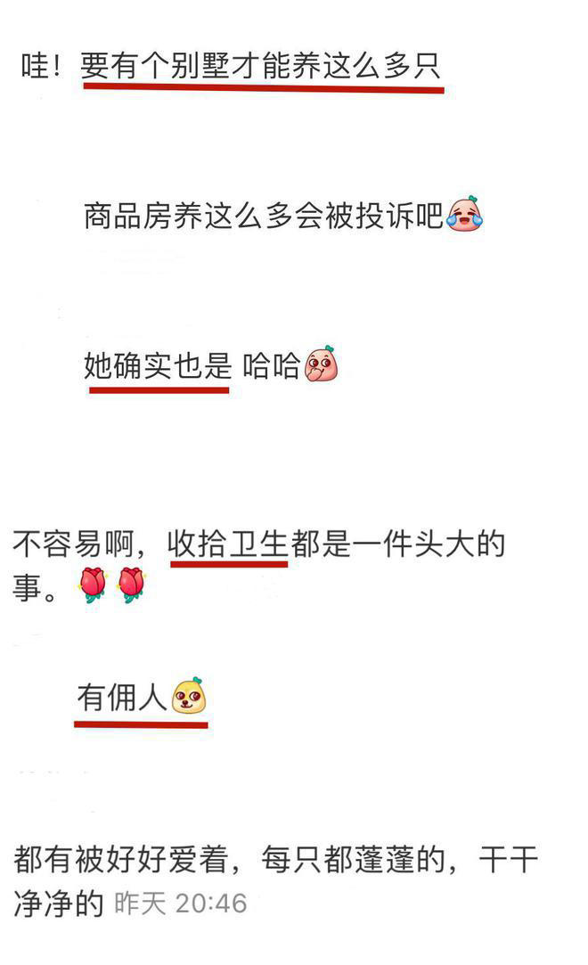 图片加载失败
