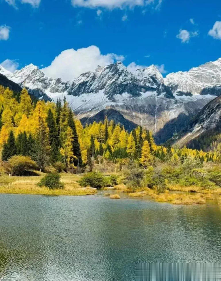 图片加载失败