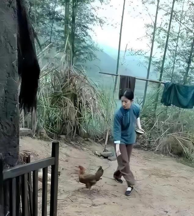 图片加载失败