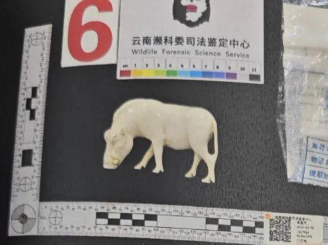 图片加载失败
