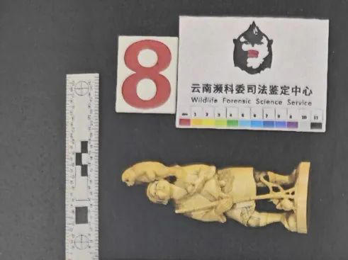 图片加载失败