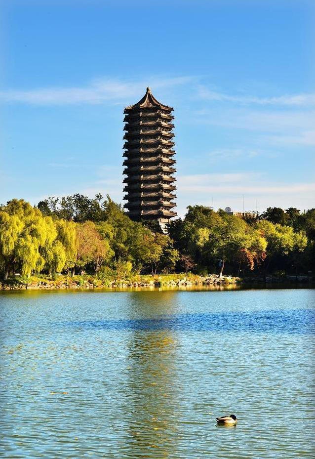 图片加载失败