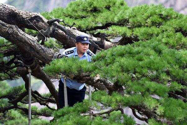 图片加载失败