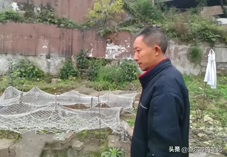 图片加载失败