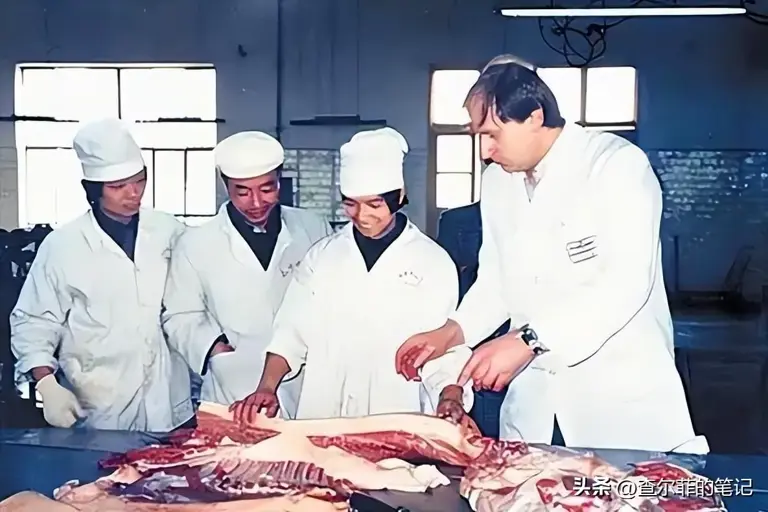 图片加载失败