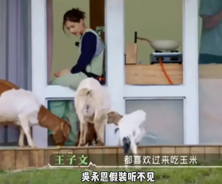 图片加载失败