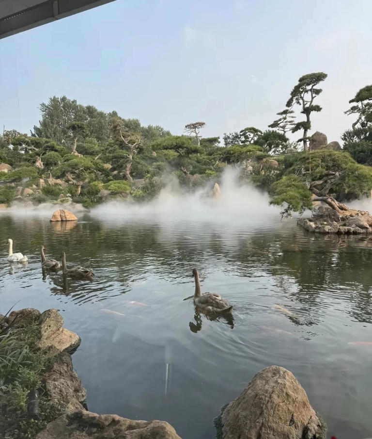 图片加载失败