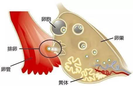 图片加载失败