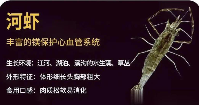 图片加载失败