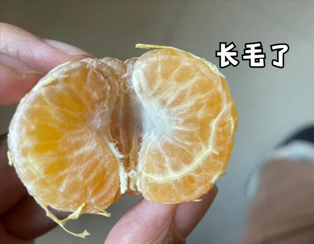 图片加载失败